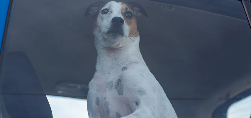 Car Lockout Solutions in Hidden Valley Lake, California